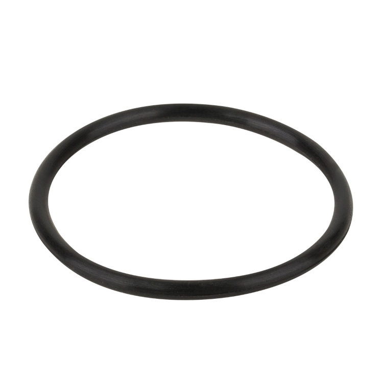 Уплотнительное кольцо Aquaviva 1,5' (02020013)